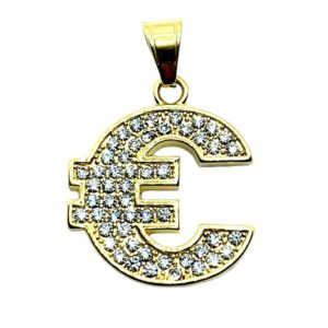 Stainless Steel Euro charm
