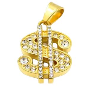 Stainless Steel Dollar charm