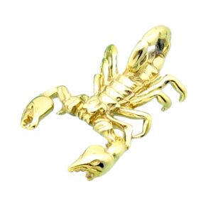 SCORPION STAINLESS STEEL CHARM