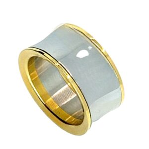 Two-Tone IP Gold Stainless Steel Ring Elegance 12mm