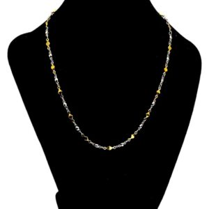 Stainless Steel Chain Rb two-tone